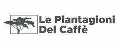 LE PIANTAGIONI DEL CAFFÈ