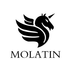 MOLATIN