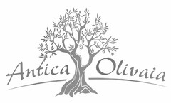 ANTICA OLIVAIA
