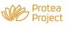 Protea Project