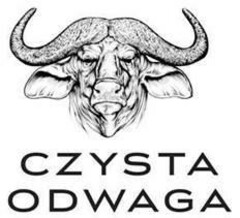 CZYSTA ODWAGA