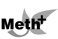 METH +