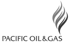 PACIFIC OIL & GAS