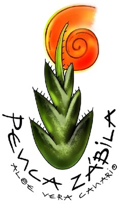 PENCA ZABILA ALOE VERA CANARIO