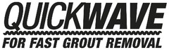 QUICKWAVE FOR FAST GROUT REMOVAL