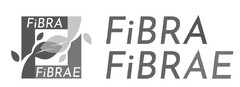 FIBRA FIBRAE