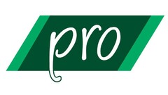 pro