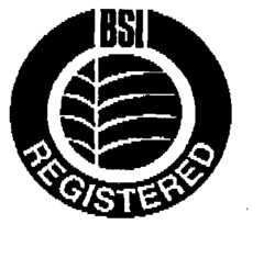 BSI REGISTERED