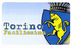 Torino Facilissima