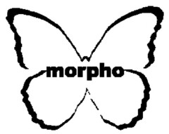 morpho