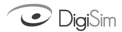 DigiSim