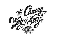 THE CANARY WAY OF SURF FULL DAY FULL YEAR