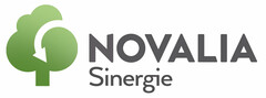 NOVALIA SINERGIE