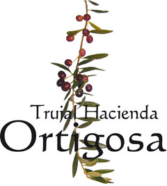 TRUJAL HACIENDA ORTIGOSA