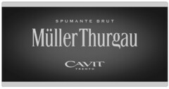 SPUMANTE BRUT MÜLLER THURGAU CAVIT TRENTO