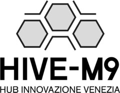 HIVE-M9  HUB INNOVAZIONE VENEZIA