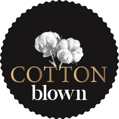 COTTON BLOWN
