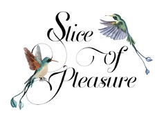 Slice of Pleasure