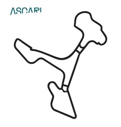 ASCARI