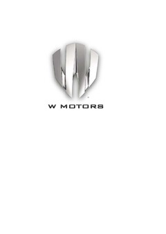 W MOTORS