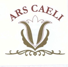 ARS CAELI