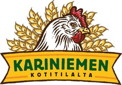 KARINIEMEN KOTITILALTA