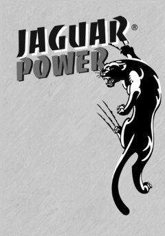 Jaguar Power