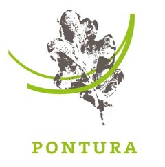 PONTURA