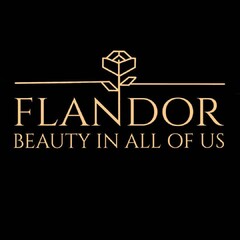 FLANDOR BEAUTY IN ALL OF US