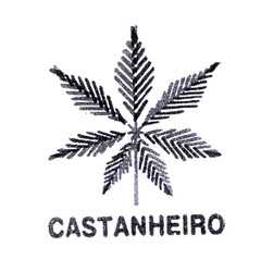CASTANHEIRO