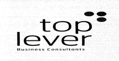 top lever Business Consultants