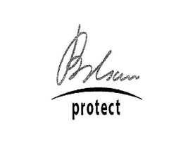 Balsan  protect