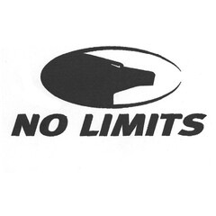 NO LIMITS