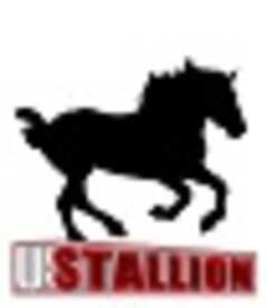 US STALLION