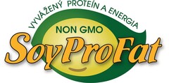 VYVÁŽENÝ PROTEÍN A ENERGIA NON GMO SoyProFat