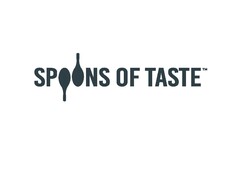 SPOONS OF TASTE