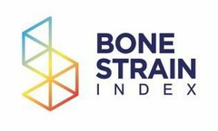 BONE STRAIN INDEX