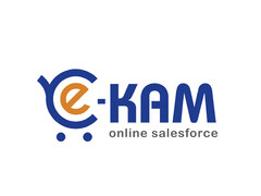 E-KAM ONLINE SALESFORCE