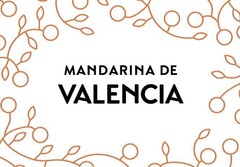 MANDARINA DE VALENCIA