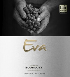 EVA DOMAINE BOUSQUET Naturally Elegant Wines Mendoza Argentina fair for life fair trade