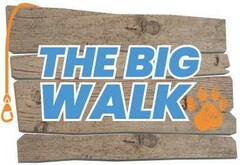 THE BIG WALK