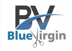 BV BLUE VIRGIN