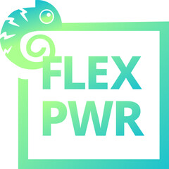 Flex PWR
