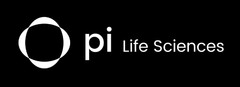 pi Life Sciences