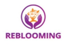 REBLOOMING