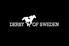 DERBY OF SWEDEN