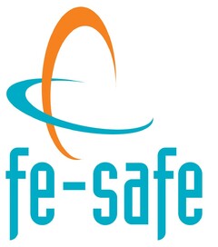 FE-SAFE