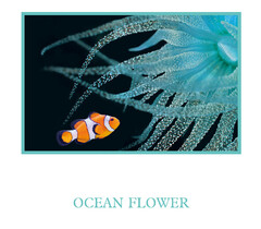 OCEAN FLOWER