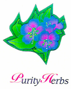 Purity Herbs