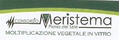 CONSORZIO Meristema , Piana del Sele , MOLTIPLICAZIONE VEGETALE IN VITRO